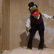 Image for article titled Why 18th Century Biologists Made Copulating Frogs Wear Tiny Pants